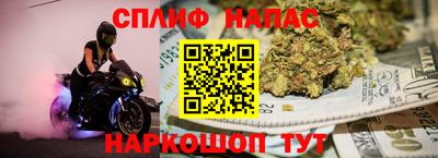 спиды Владимир