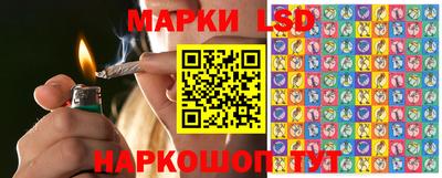 СК Владикавказ