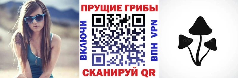 mega ТОР  Видное  Псилоцибиновые грибы мицелий 