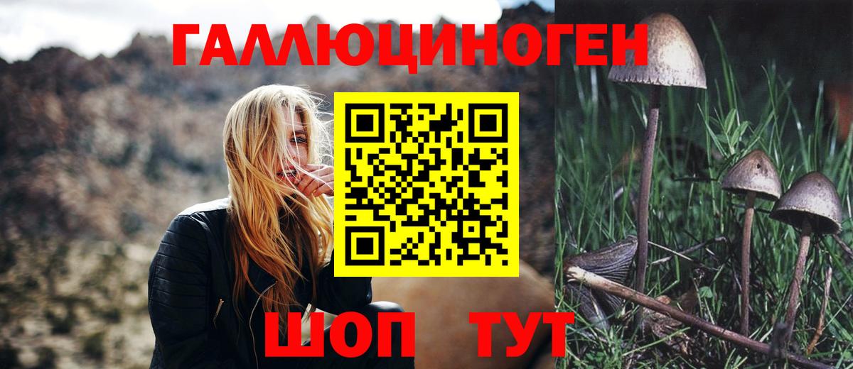 Галлюциногенные грибы MAGIC MUSHROOMS Видное