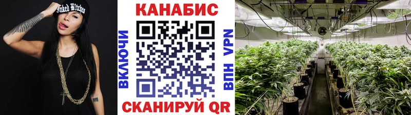 купить  сайты  Видное  Конопля семена 
