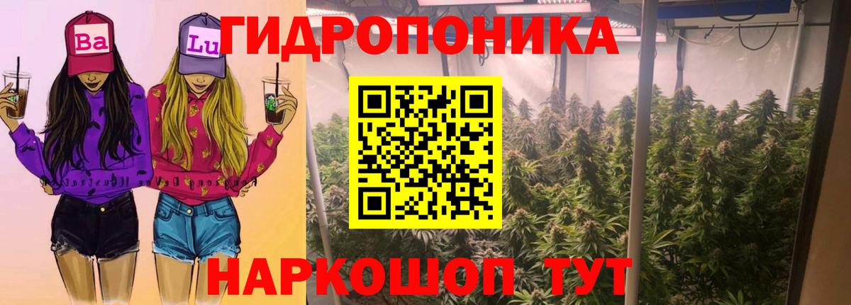 Канабис конопля Видное